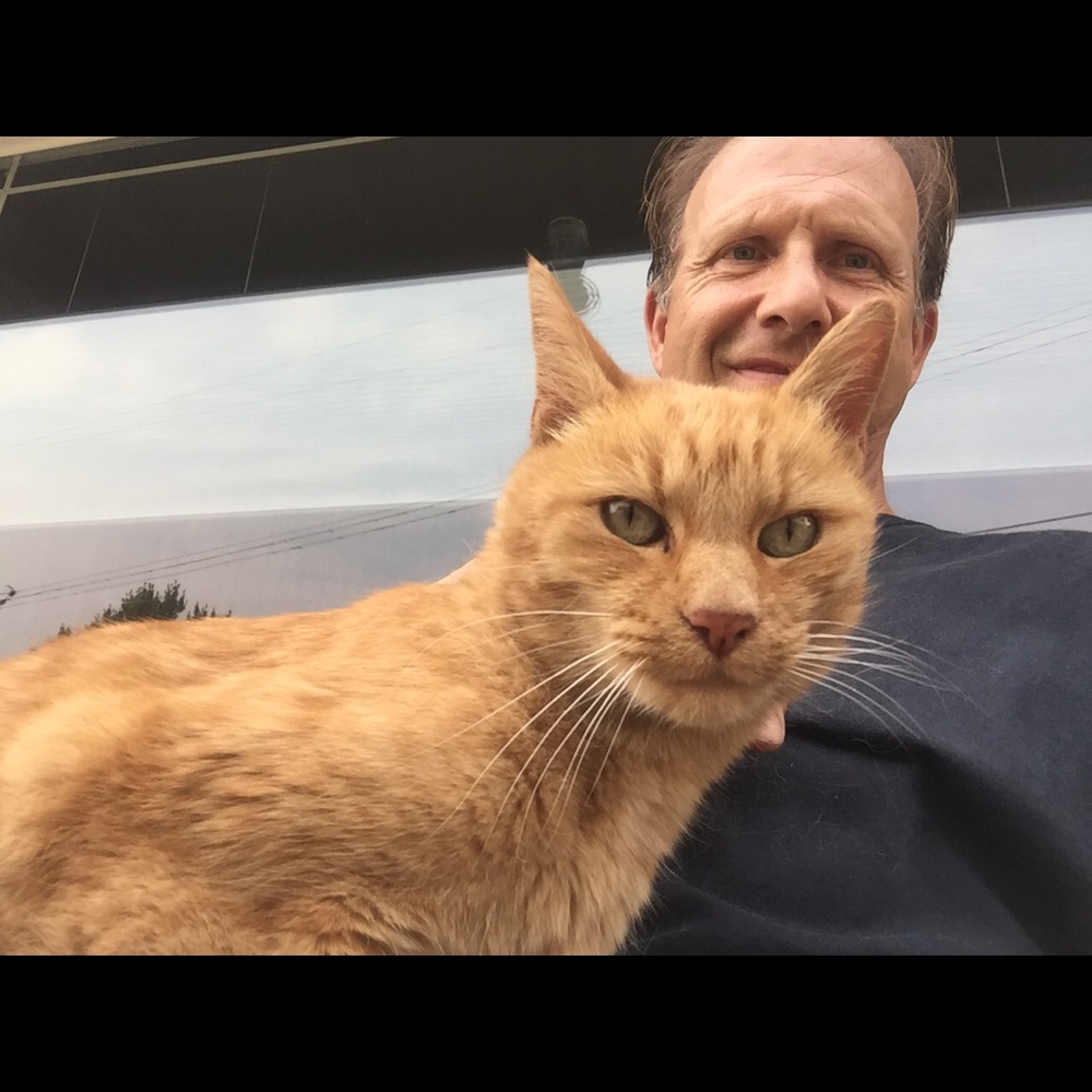 Meet your Posher, David